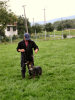 tréning - nemecký ovčiak