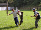 tréning - nemecký ovčiak